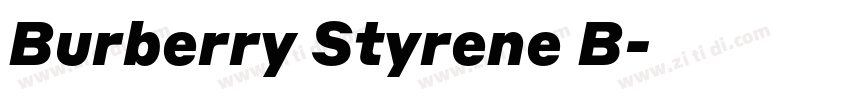 Burberry Styrene B字体转换